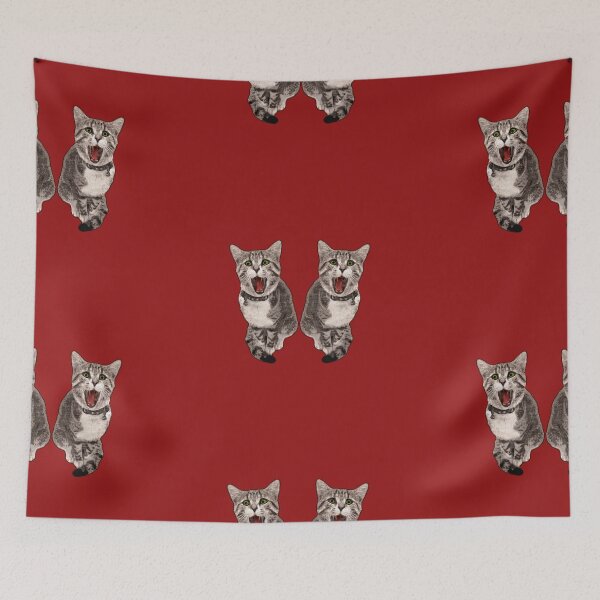 Item preview, House tiger in a double pack red background- cute yawning cat photo design designed and sold by kikidu21.