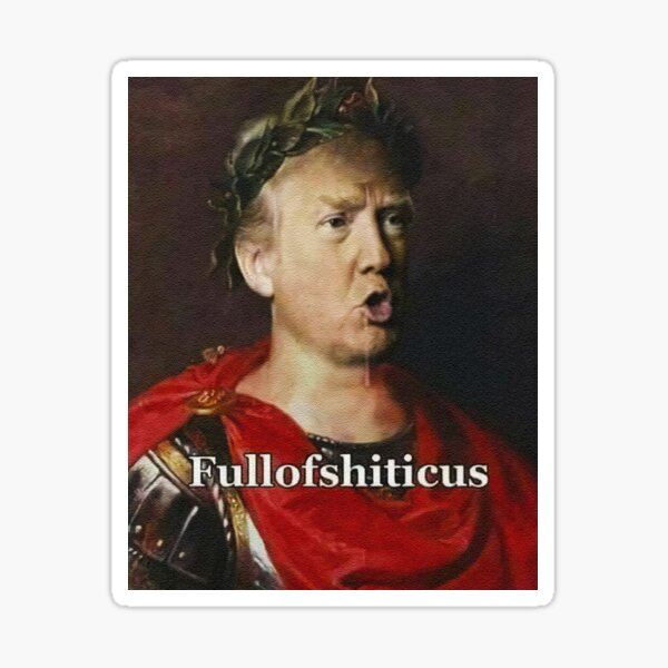 Vista previa del artículo con la obra «Lleno de shiticus», diseñado y vendido por AlexKW.