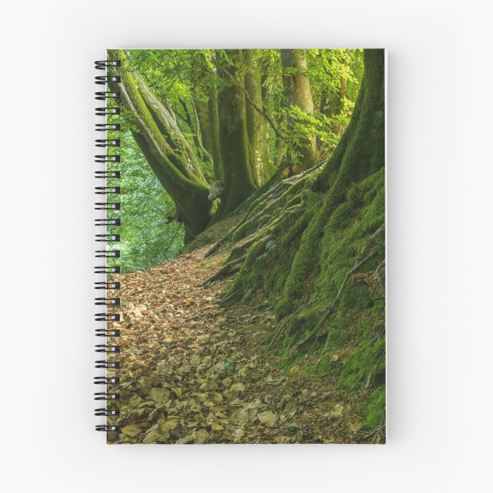 Item preview, Spiral Notebook designed and sold by morpheus71.