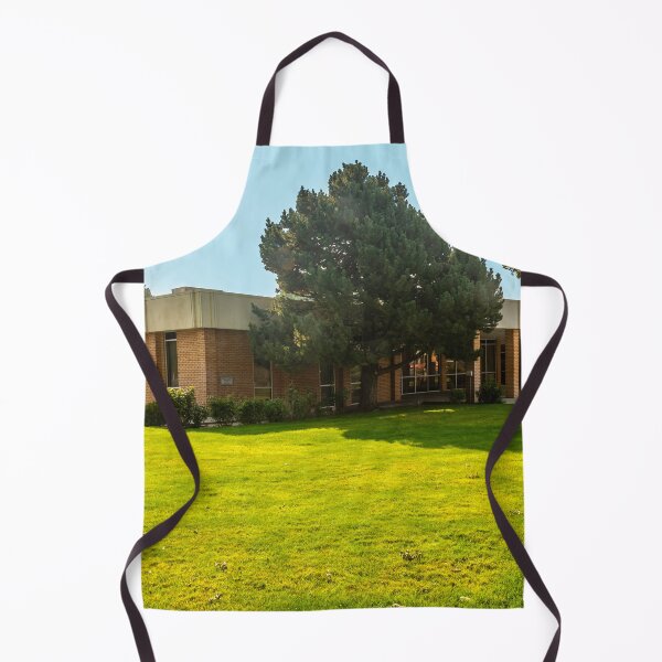 Item preview, The Gooding County (Idaho) Courthouse designed and sold by Bryan Spellman.