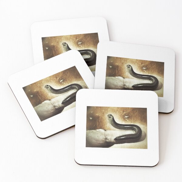 Item preview, Millipede designed and sold by HaymanArt.