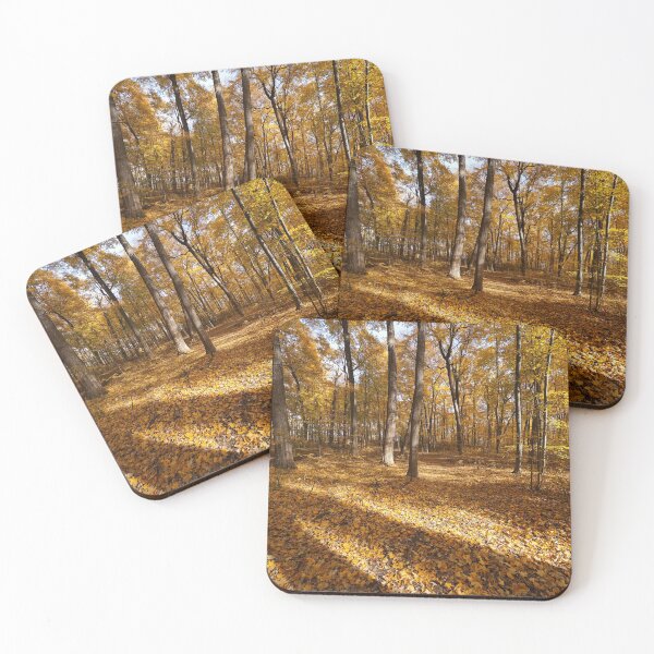 Item preview, "Short Days and Long Shadows" designed and sold by RCNaturephotos.