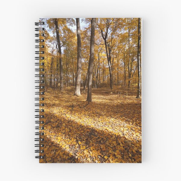 Item preview, "Short Days and Long Shadows" designed and sold by RCNaturephotos.