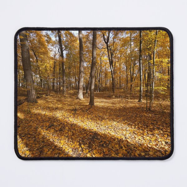 Item preview, "Short Days and Long Shadows" designed and sold by RCNaturephotos.
