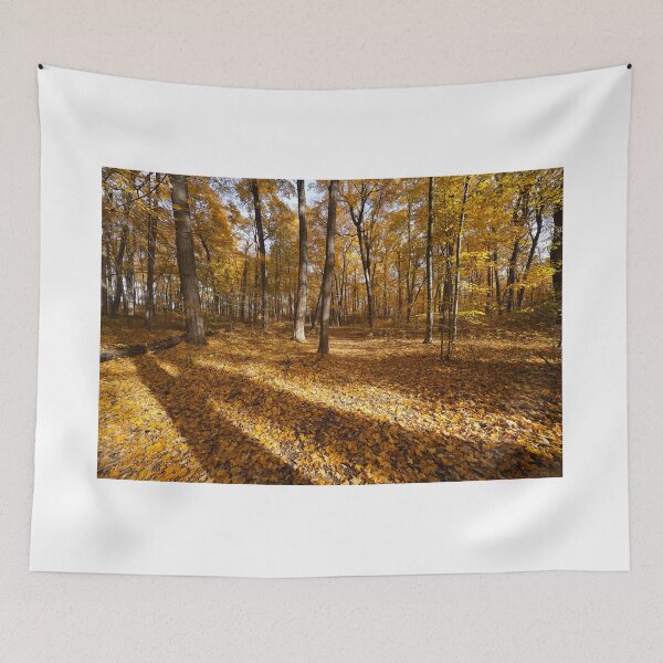 Item preview, "Short Days and Long Shadows" designed and sold by RCNaturephotos.