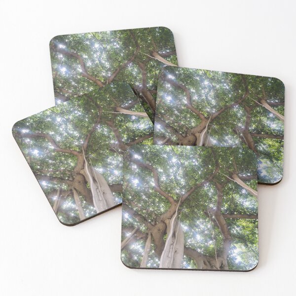 Item preview, Banyan Canopy designed and sold by elisacardnell.