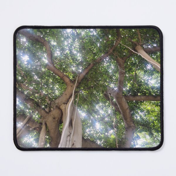 Item preview, Banyan Canopy designed and sold by elisacardnell.