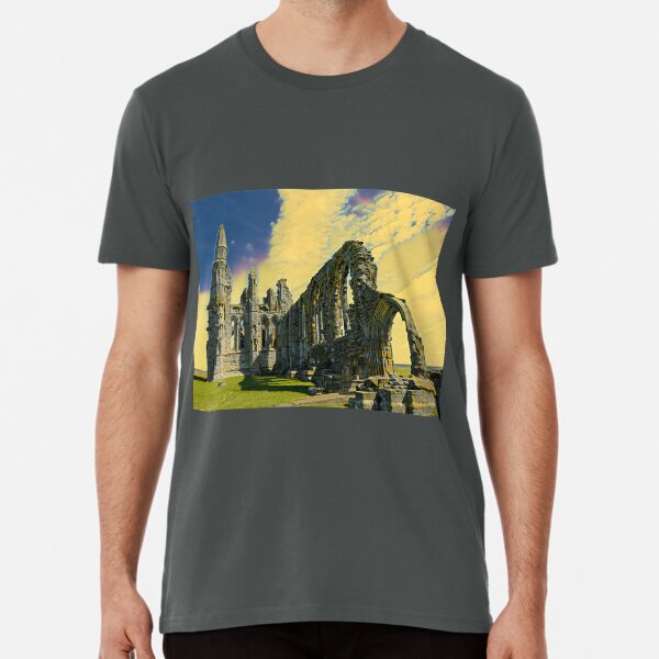 Digital image processing, Old Castle Premium T-Shirt