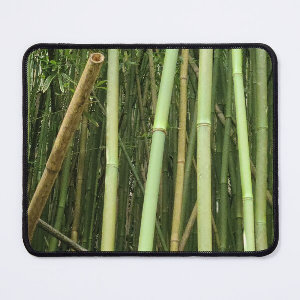 Item preview, Bamboo Forest designed and sold by elisacardnell.