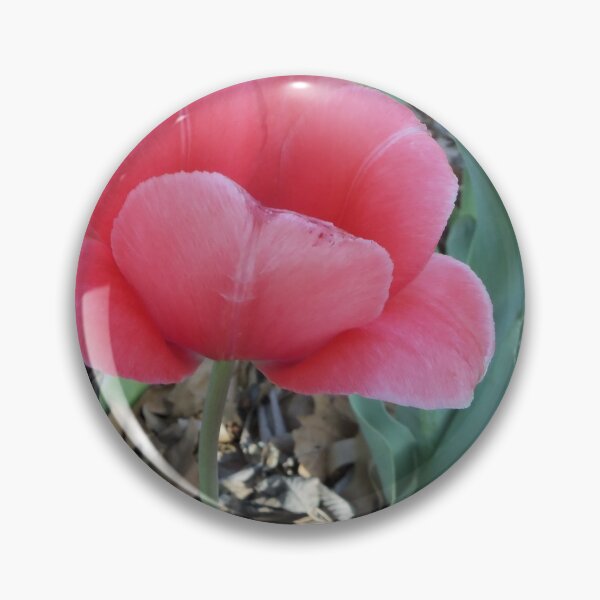 Item preview, First Tulip designed and sold by Laura Booker.