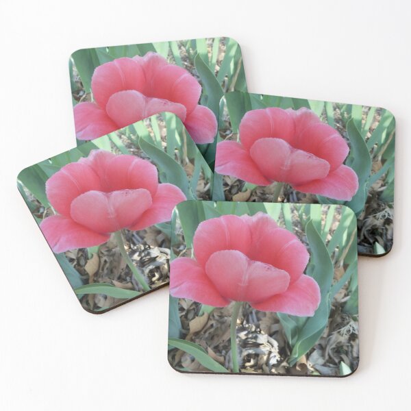 Item preview, First Tulip designed and sold by Laura Booker.