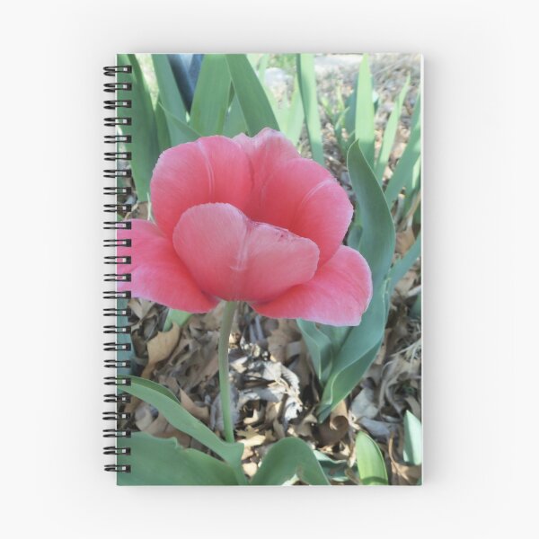 Item preview, First Tulip designed and sold by Laura Booker.