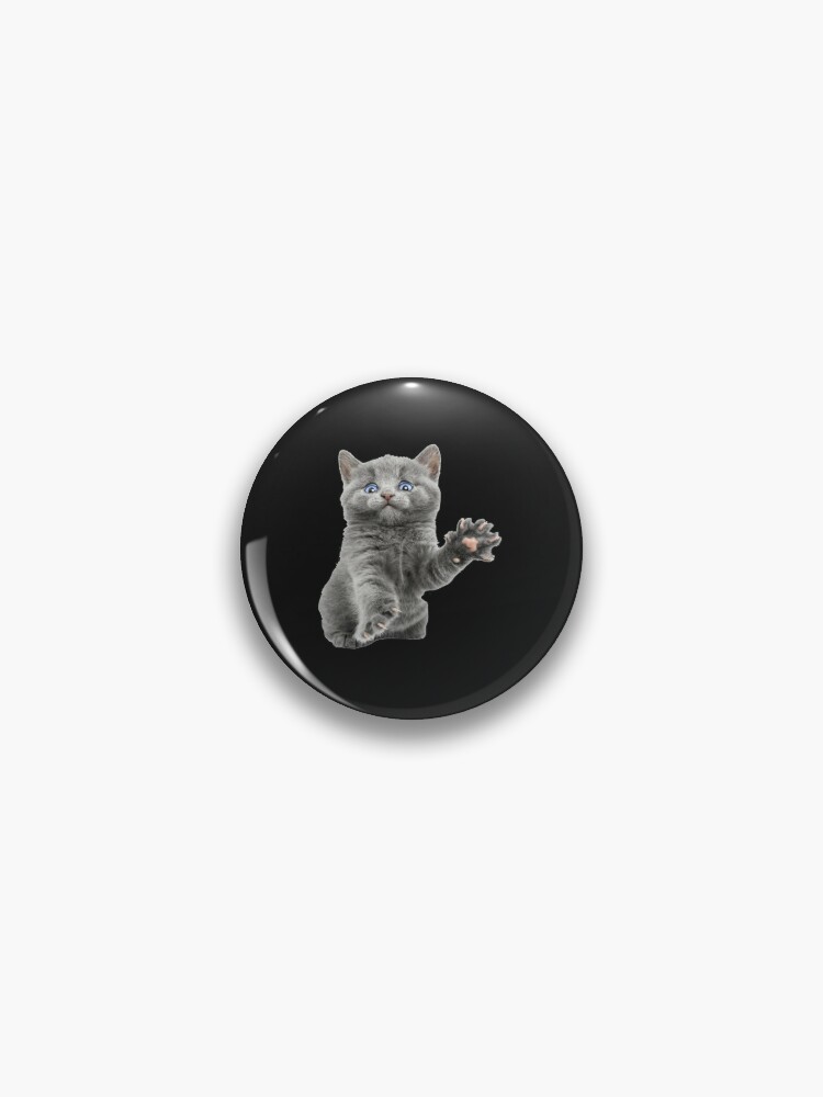 beluga cat  Pin for Sale by Liamandlore