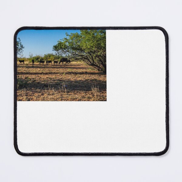 Item preview, Angus Cow and Calves designed and sold by GestaltImagery.