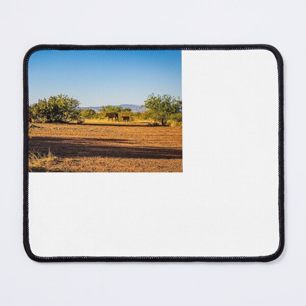 Item preview, Angus Cow and Calves designed and sold by GestaltImagery.