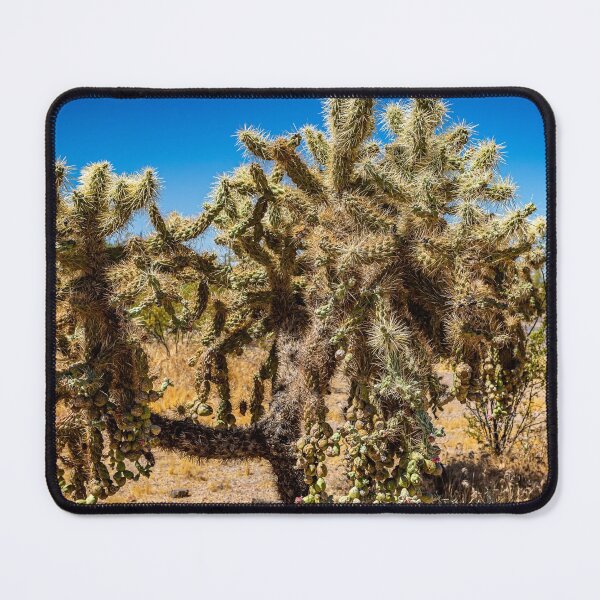 Item preview, Cholla Cactus along the Apache Trail designed and sold by GestaltImagery.