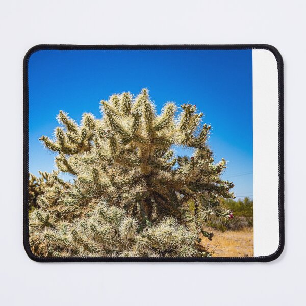 Item preview, Cholla Cactus along the Apache Trail designed and sold by GestaltImagery.
