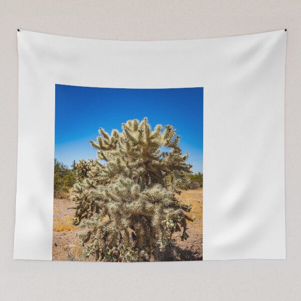 Item preview, Cholla Cactus along the Apache Trail designed and sold by GestaltImagery.