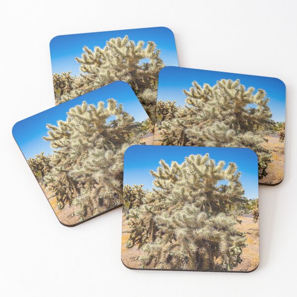 Item preview, Cholla Cactus along the Apache Trail designed and sold by GestaltImagery.