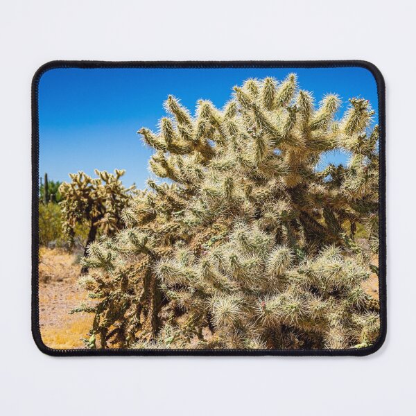 Item preview, Cholla Cactus along the Apache Trail designed and sold by GestaltImagery.