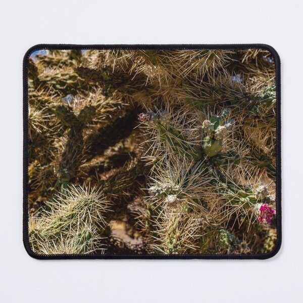 Item preview, Cholla Cactus along the Apache Trail designed and sold by GestaltImagery.