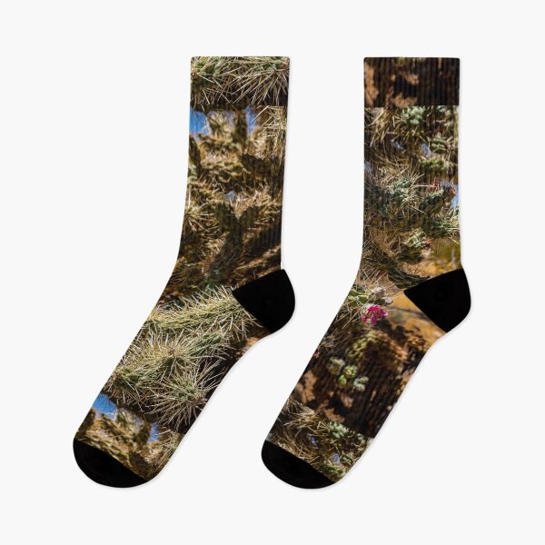 Item preview, Cholla Cactus along the Apache Trail designed and sold by GestaltImagery.