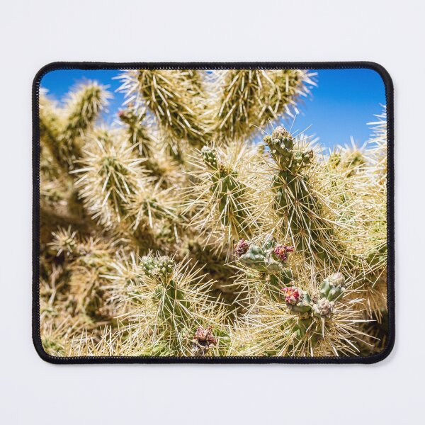Item preview, Cholla Cactus along the Apache Trail designed and sold by GestaltImagery.