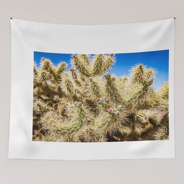 Item preview, Cholla Cactus along the Apache Trail designed and sold by GestaltImagery.