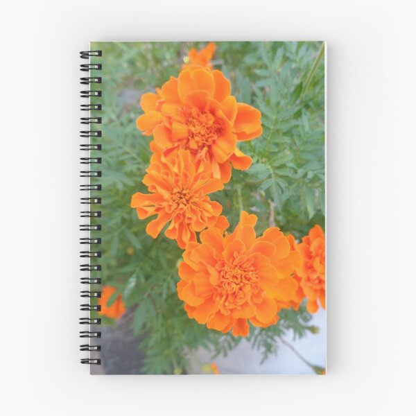 Item preview, Marigolds designed and sold by GardenArtworks.