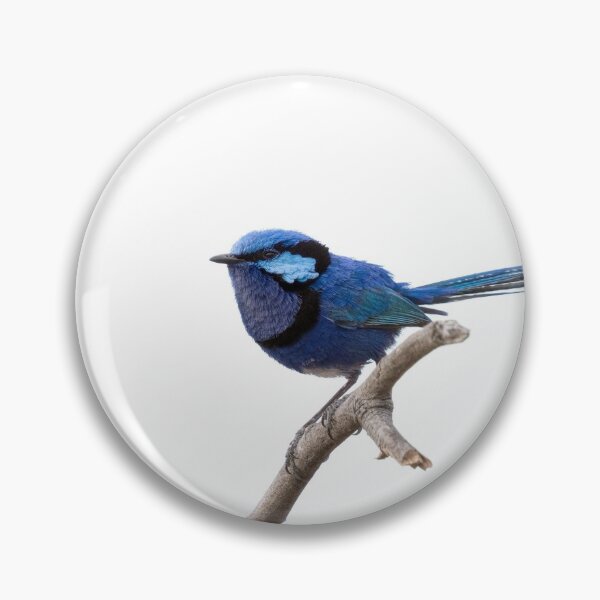 Item preview, Splendid Fairy-Wren designed and sold by Ladyshark.