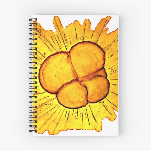 Item preview, Foraminifera with Pseudopodia Protist Illustration designed and sold by ModelOrganism.
