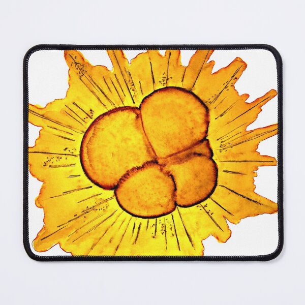 Item preview, Foraminifera with Pseudopodia Protist Illustration designed and sold by ModelOrganism.