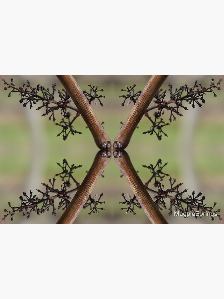 Thumbnail 3 of 3, Sticker, X Marks the Spot by Adelaide Artist Avril Thomas at Magpie Springs designed and sold by MagpieSprings.