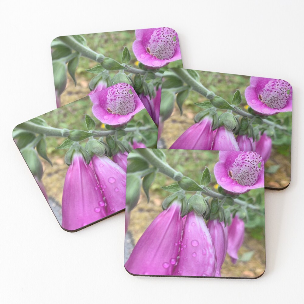 Item preview, Coasters (Set of 4) designed and sold by RithPix.