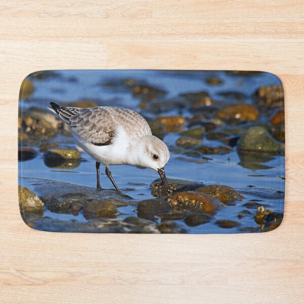 Item preview, Cute Sanderling Foraging at Low Tide on a Wintry Beach designed and sold by walkswithnature.