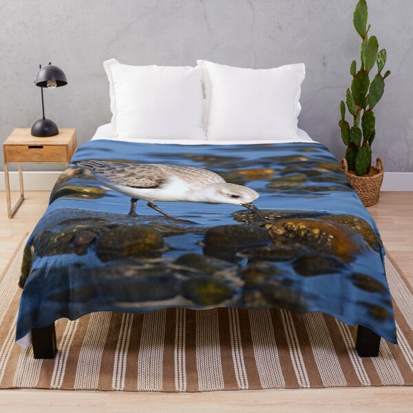 Item preview, Cute Sanderling Foraging at Low Tide on a Wintry Beach designed and sold by walkswithnature.