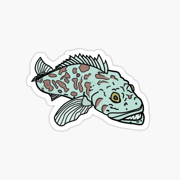 Ling Cod Stickers for Sale, Free US Shipping