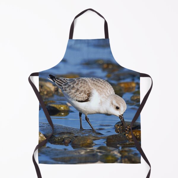Item preview, Cute Sanderling Foraging at Low Tide on a Wintry Beach designed and sold by walkswithnature.