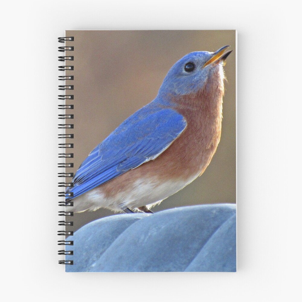 Item preview, Spiral Notebook designed and sold by InGFocus.