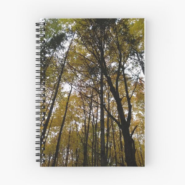 Artikelvorschau, Im Wald im Herbst entworfen und verkauft von Momentary.