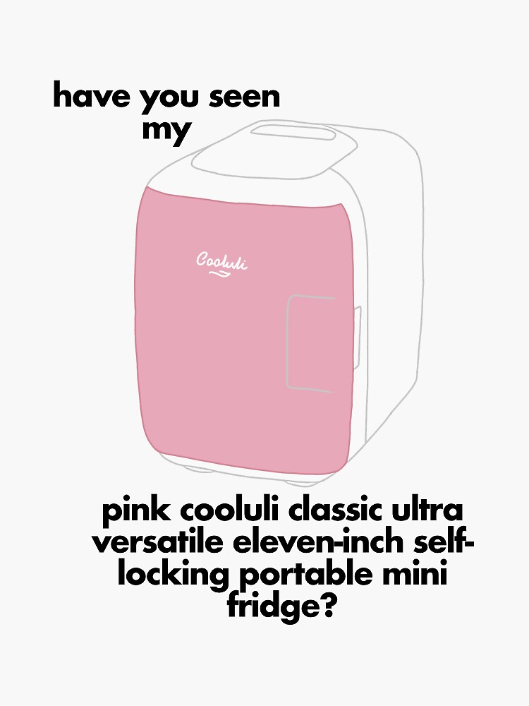 Cooluli Mini-Fridge for Skincare Review 2020