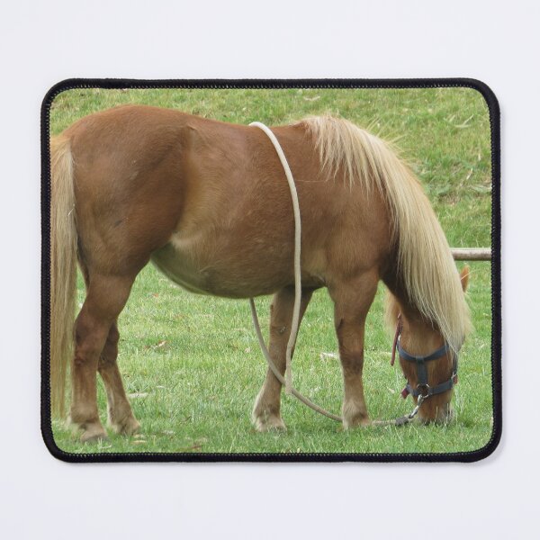 Item preview, A Contented Horse designed and sold by Honey Myrtle Studio.