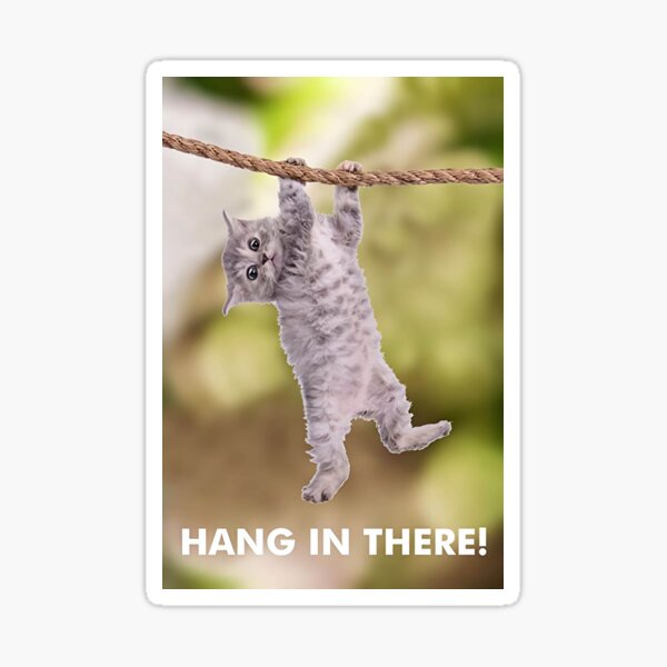 "Cute Motivational White Cat Quotes Poster" Sticker for Sale by