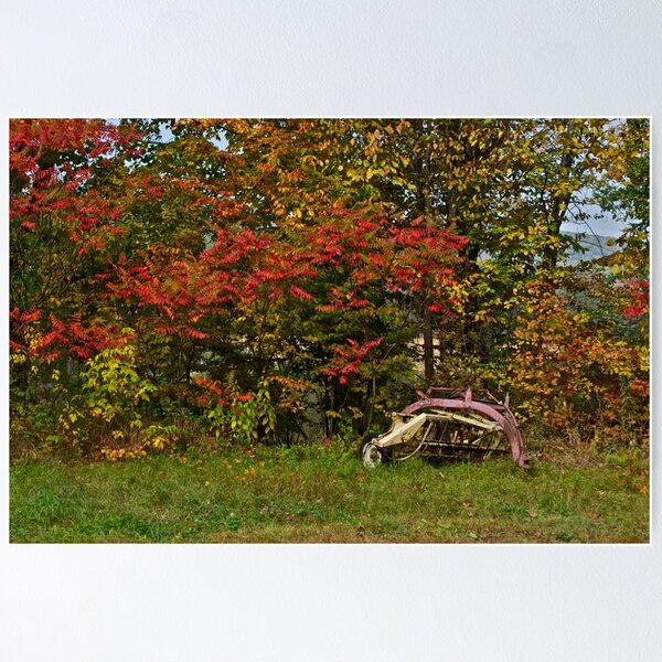 Item preview, Just another old rake designed and sold by Carolyn Clark.