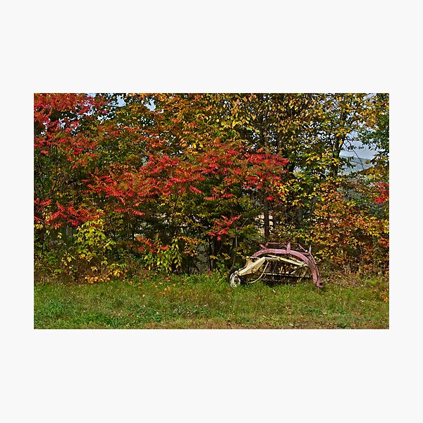 Item preview, Just another old rake designed and sold by Carolyn Clark.