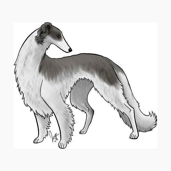 Item preview, Dog - Borzoi - Black and White designed and sold by Jennifer Stolzer.