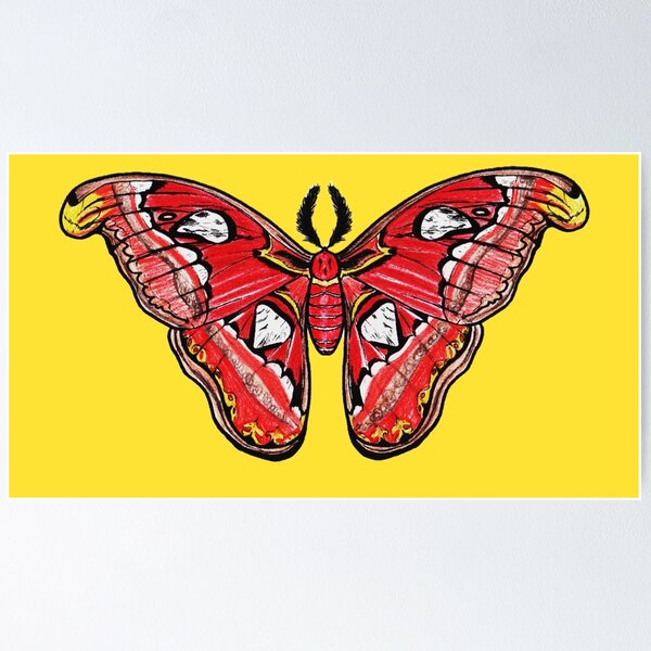 Item preview, Atlas Moth designed and sold by Paigeart4sale.
