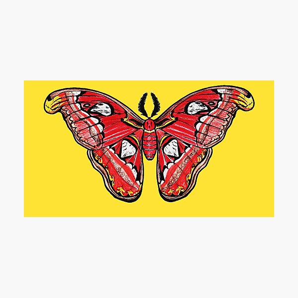 Item preview, Atlas Moth designed and sold by Paigeart4sale.