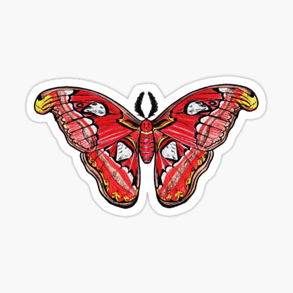 Item preview, Atlas Moth designed and sold by Paigeart4sale.