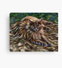 Siberian Attitude - By John Robert Beck Canvas Print